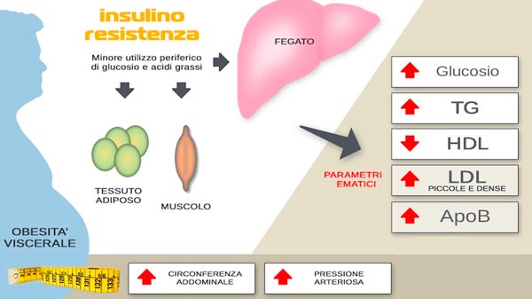 Diagnosi della sindrome da insulino-resistenza